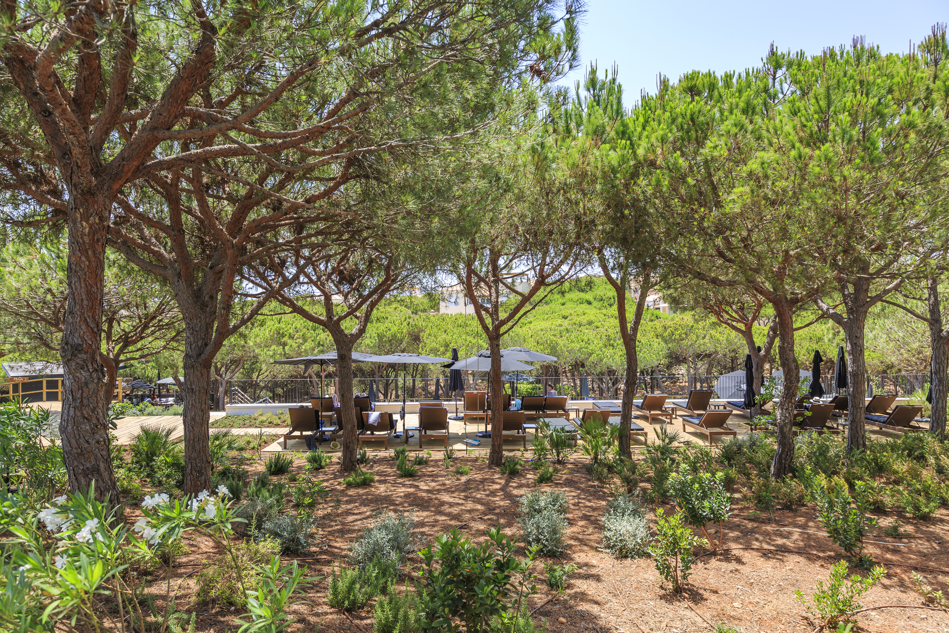 Octant Praia Verde Boutique Hotel