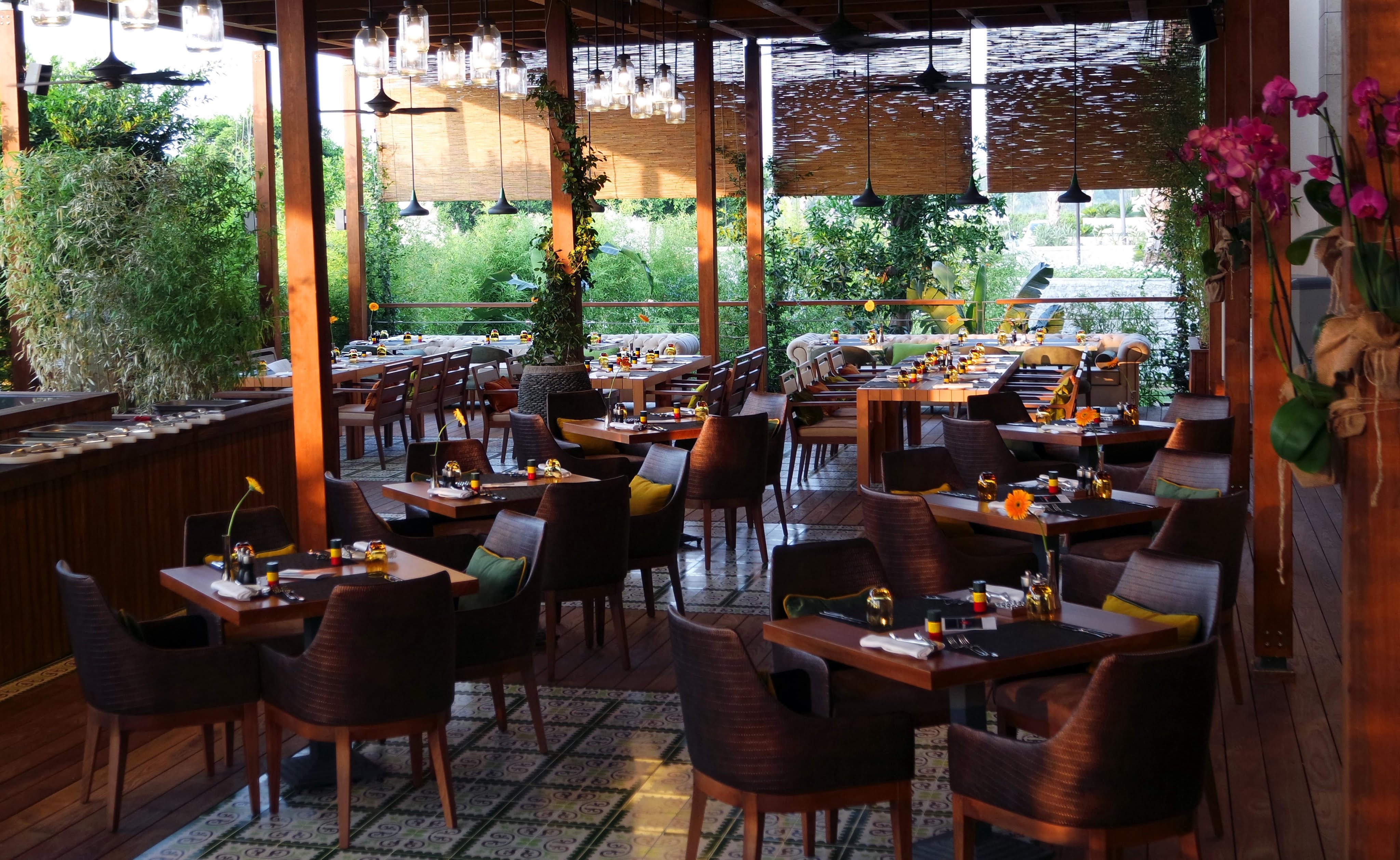 Regnum Carya