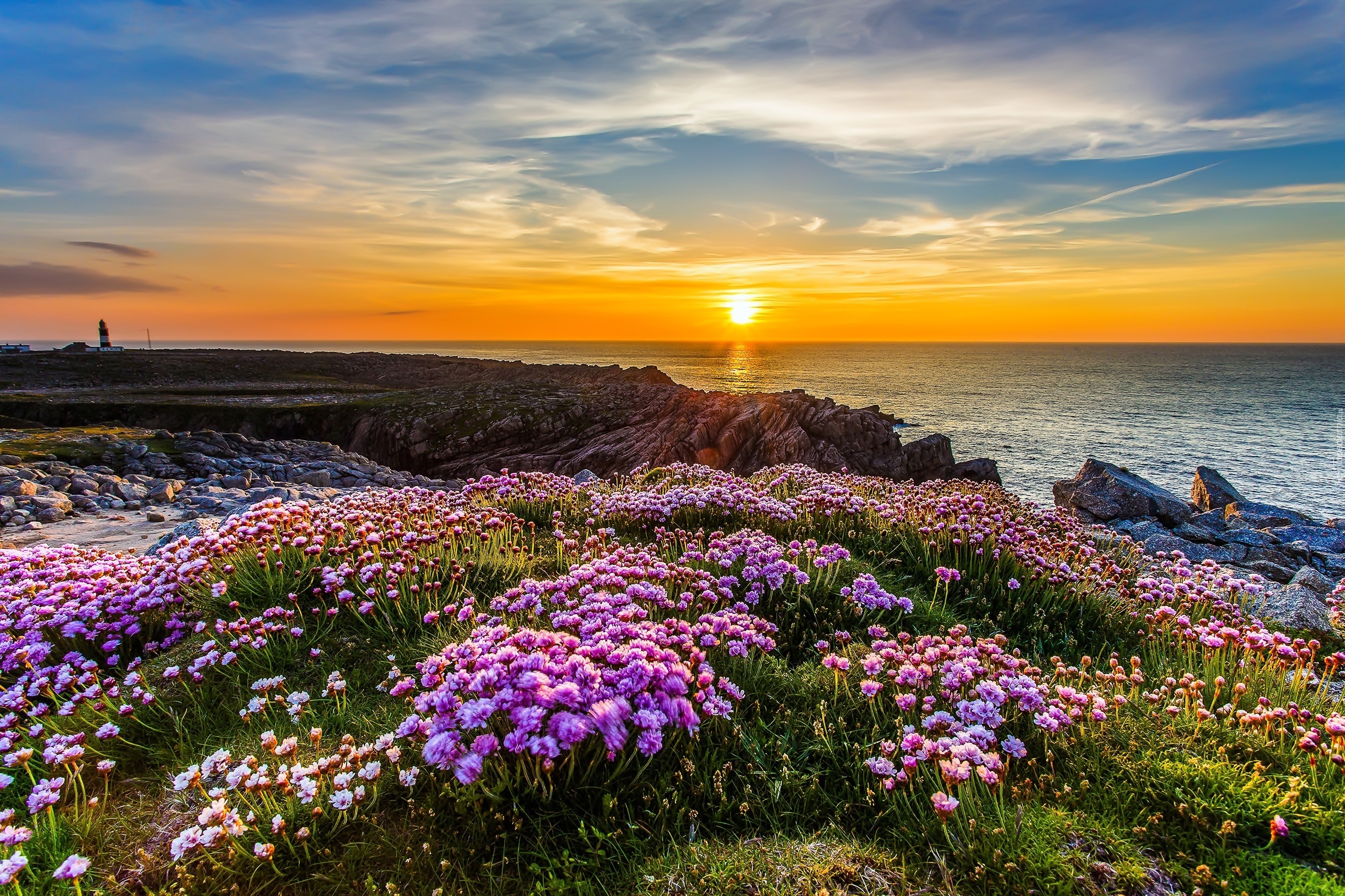 Irlandia