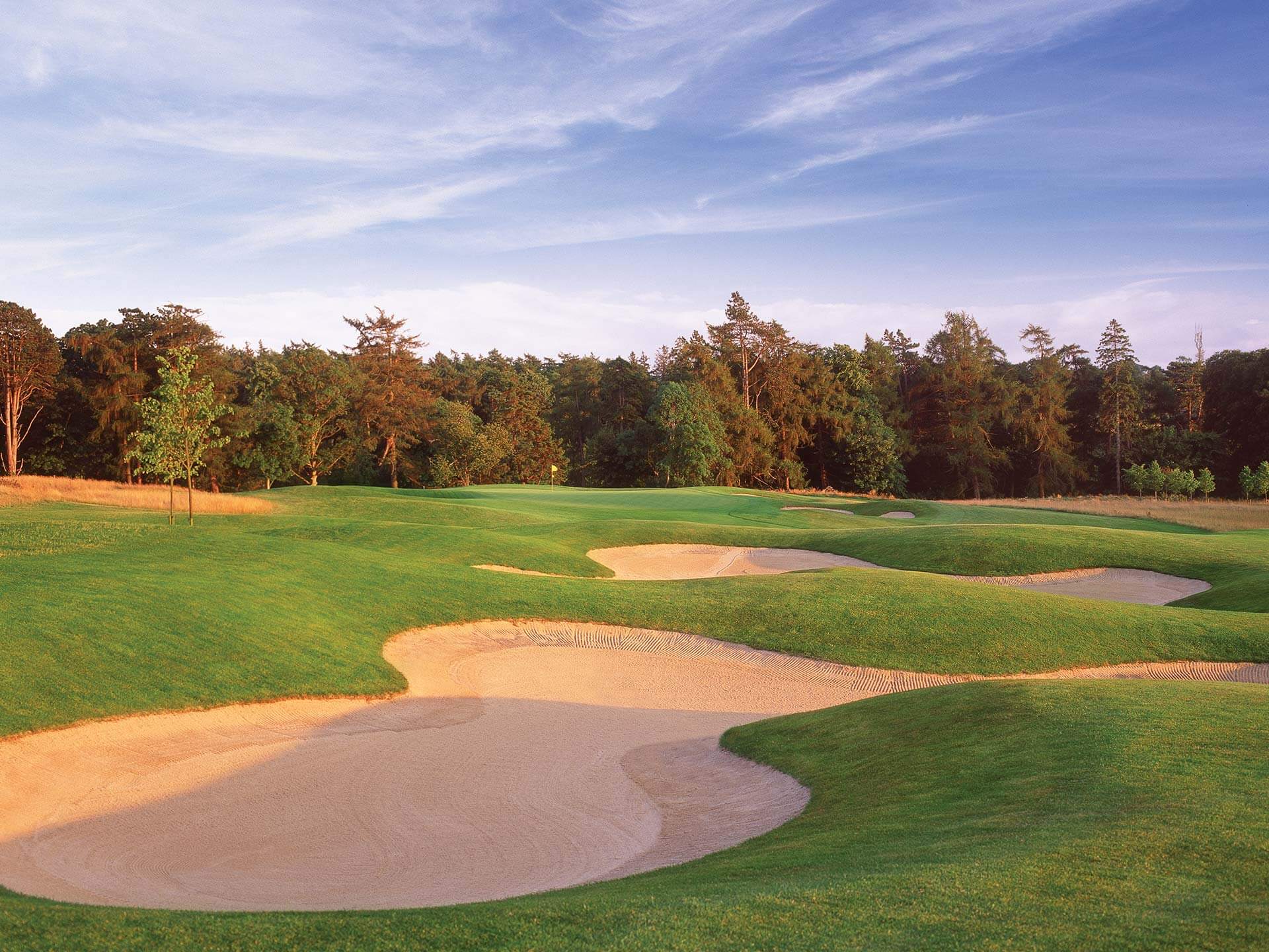 O'Meara Course 