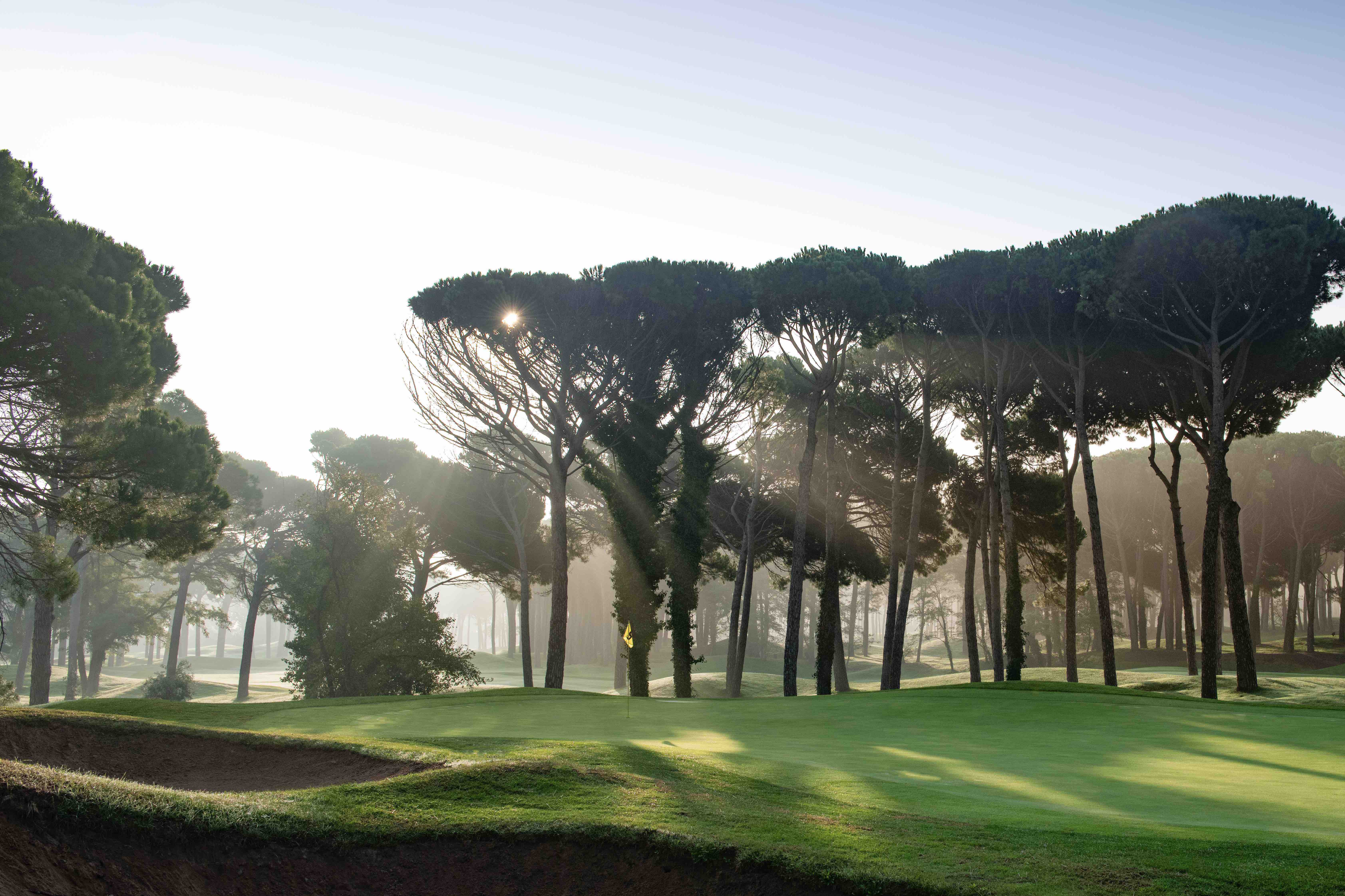 Emporda Golf Club - Forest