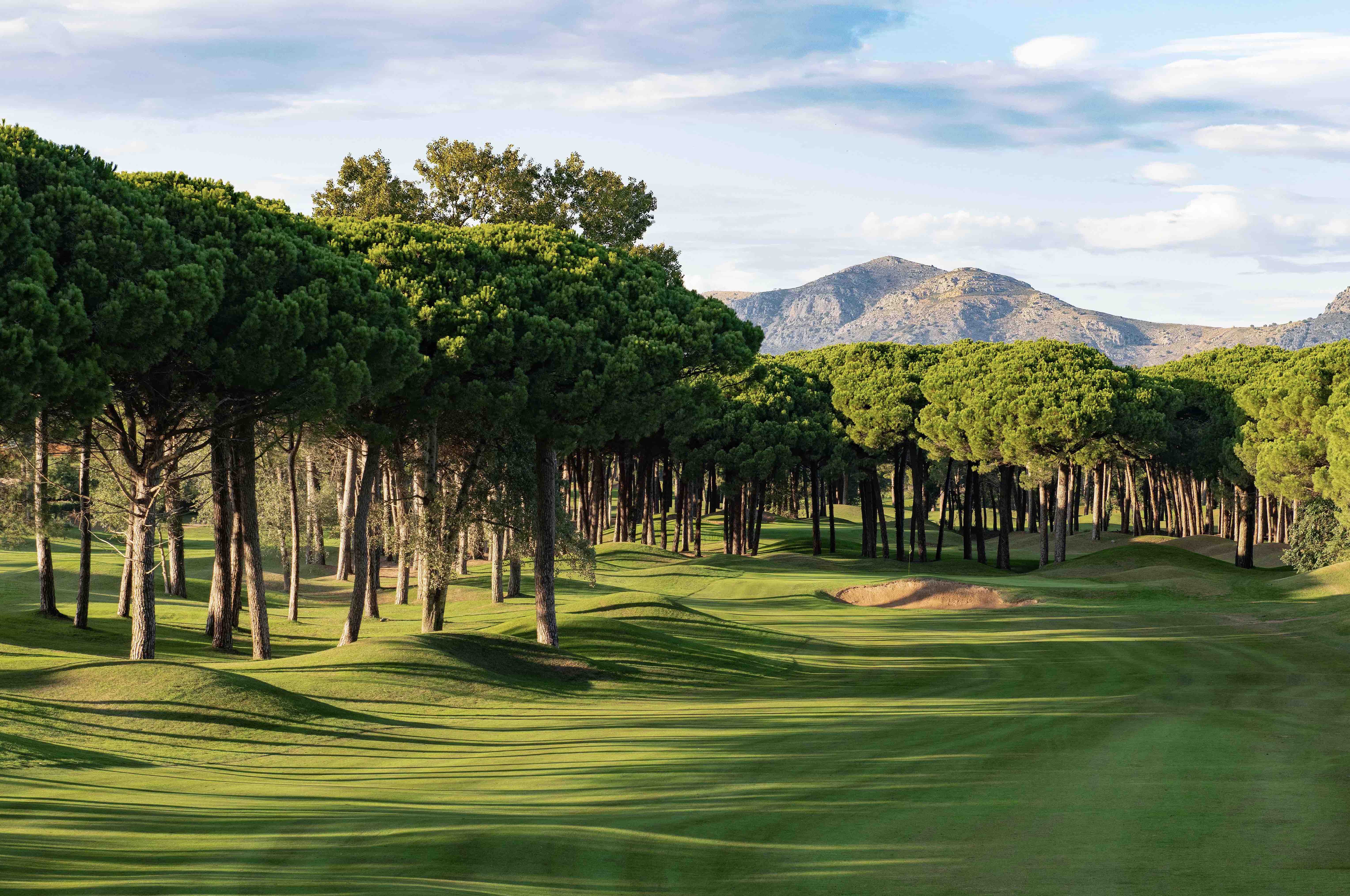 Emporda Golf Club - Forest