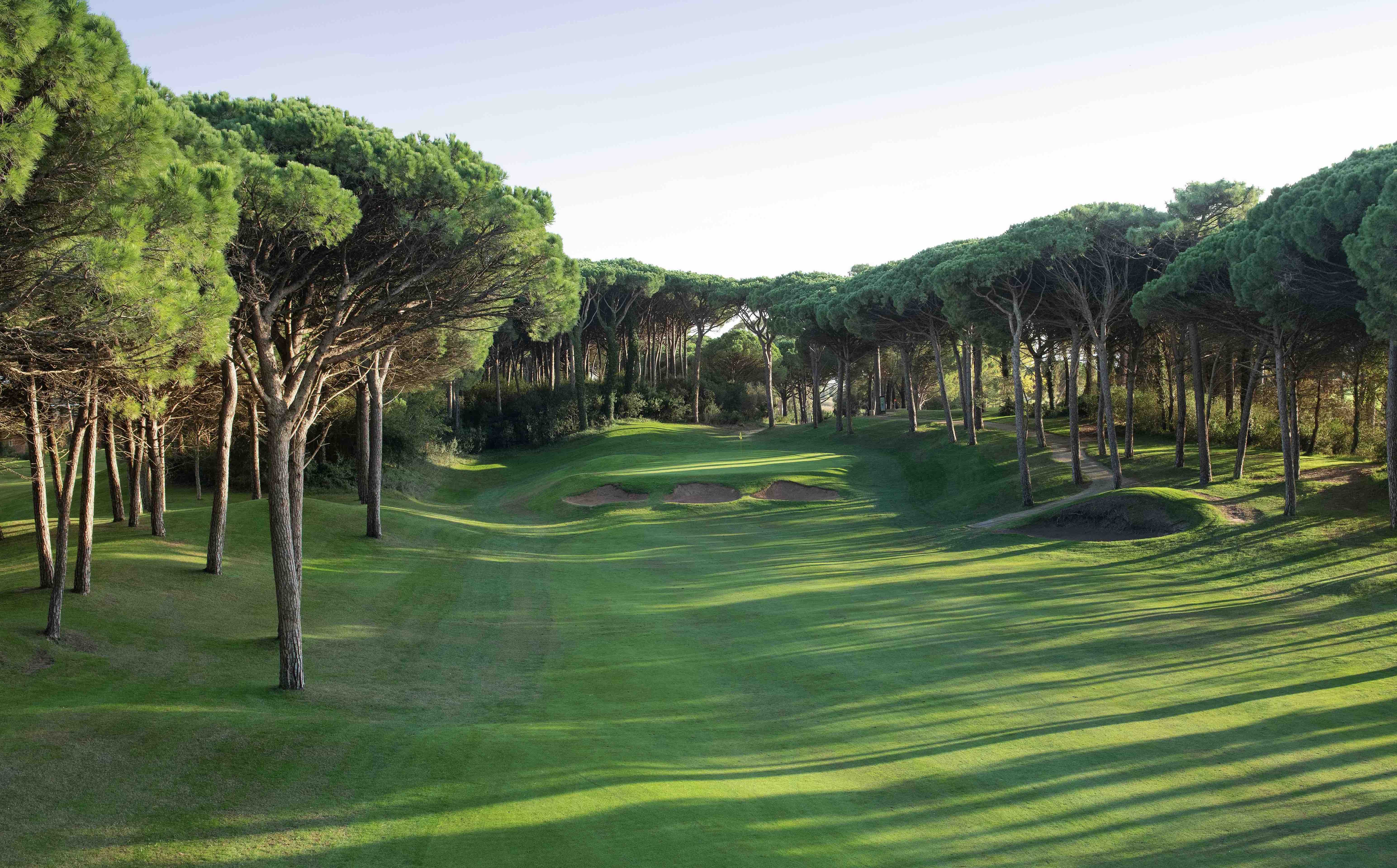 Emporda Golf Club - Forest