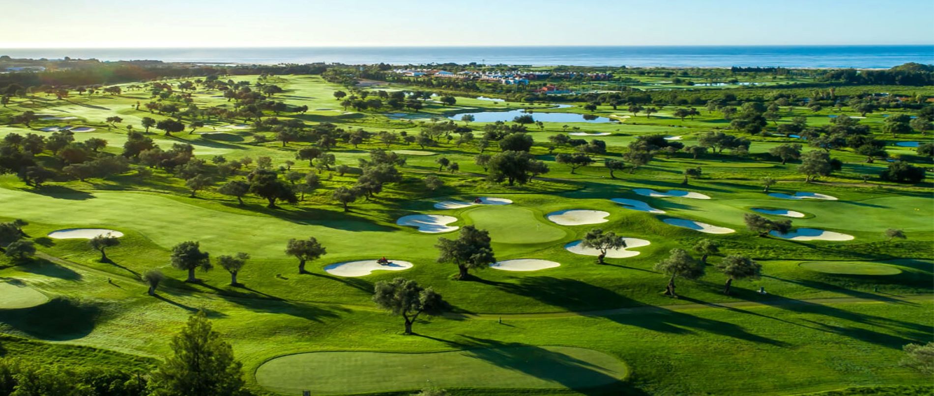 Quinta da Ria 