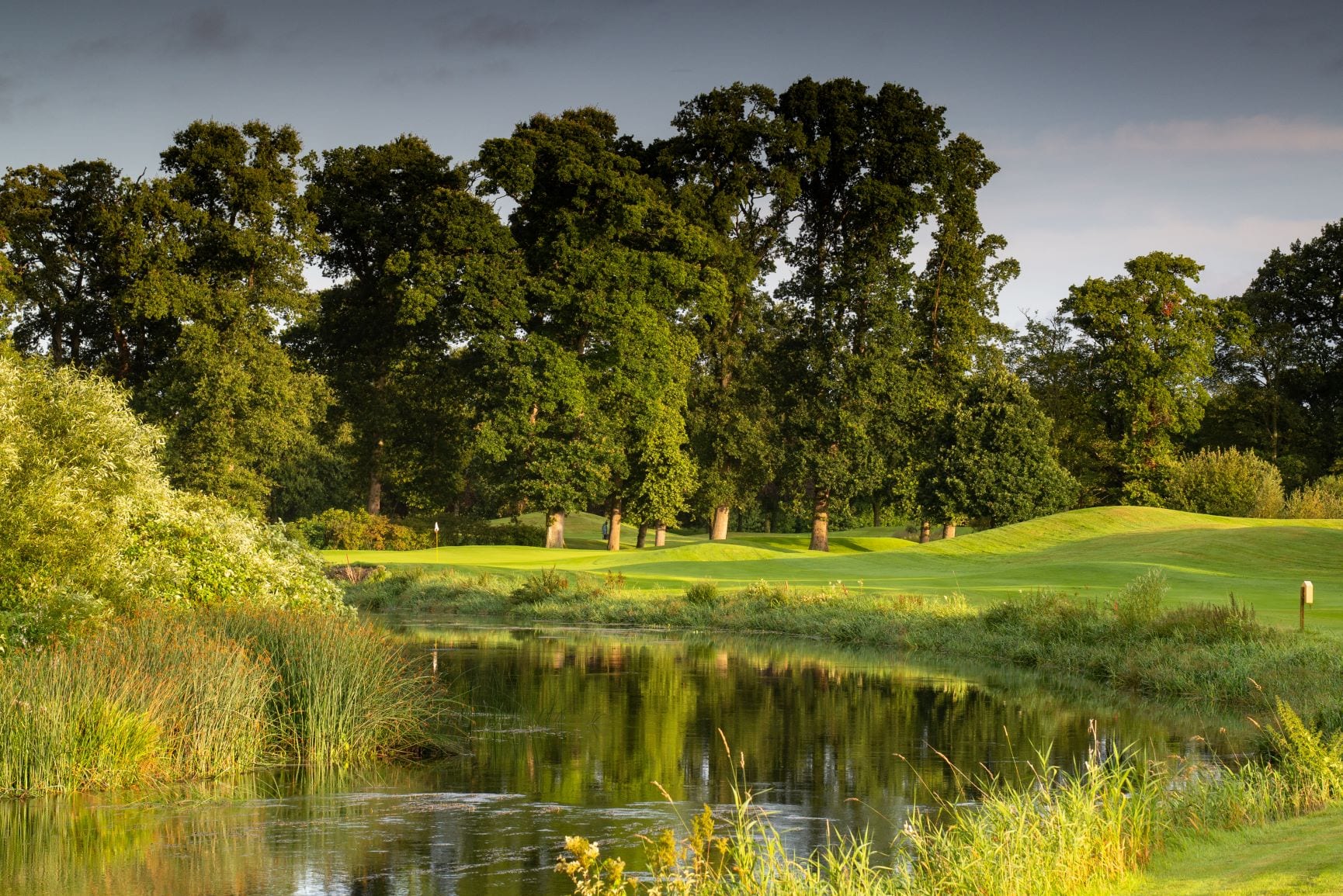 The Palmer North Course