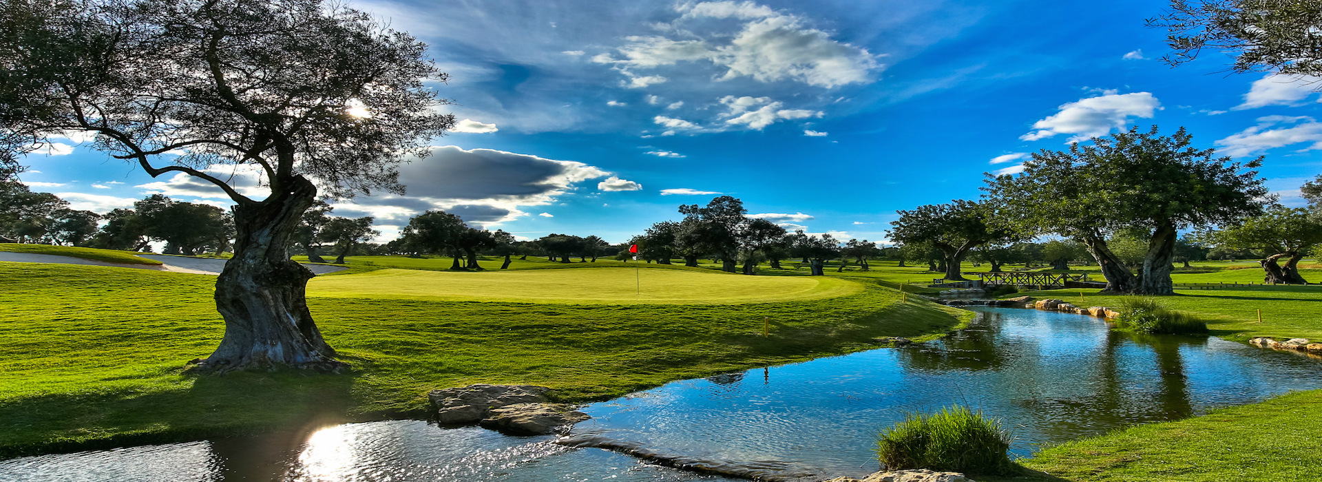 Quinta de Cima 