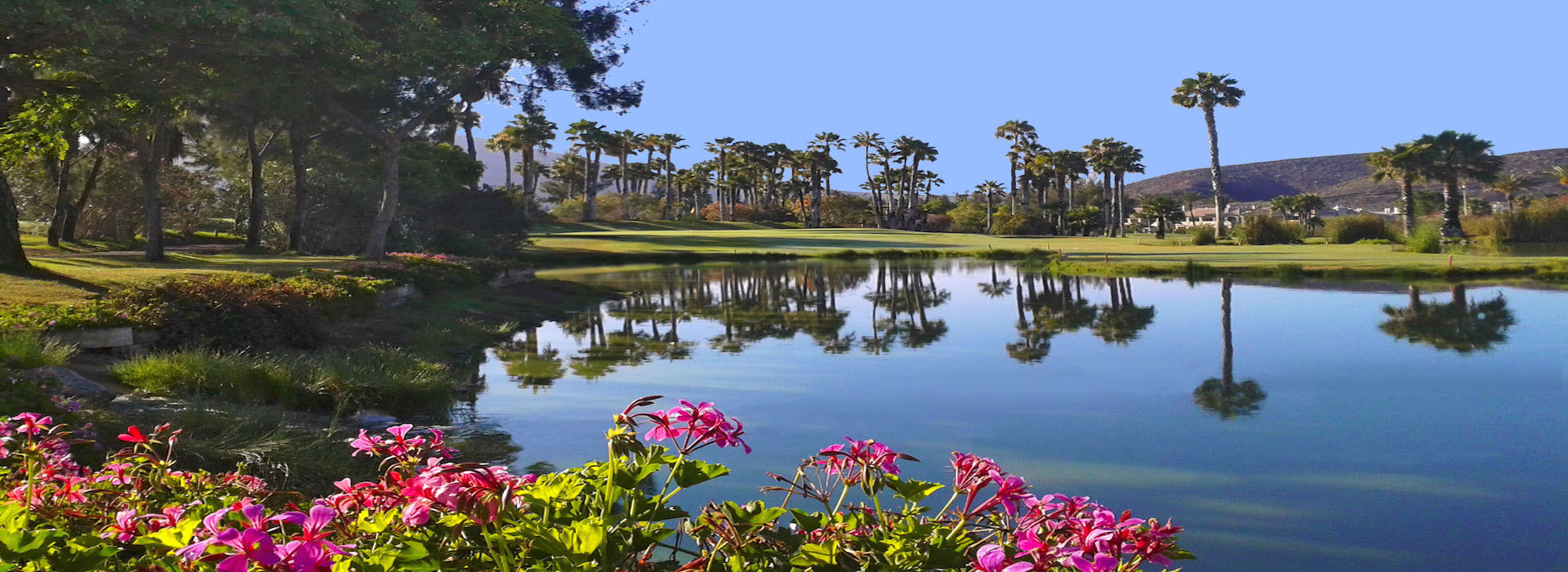 Golf las Americas