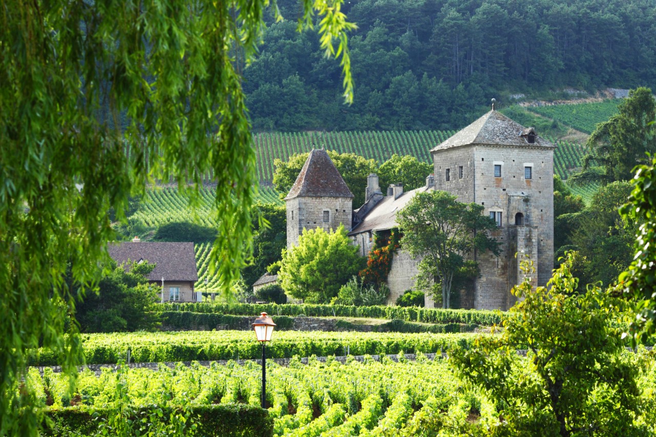 Burgundia