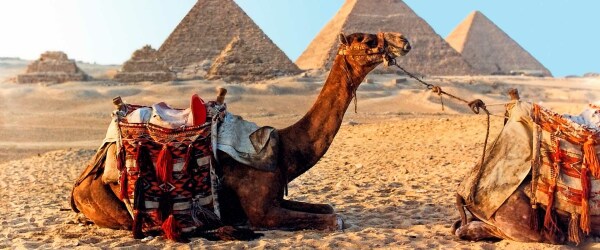 Sprawdź oferty Travel&Action z destynacji: Egipt